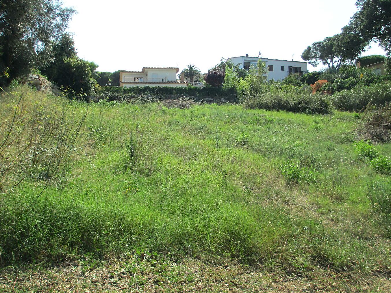 Lovely plot in very quiet residential area close to all services.