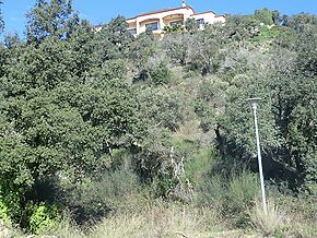 Large plot with views for sale in Playa de Aro.
