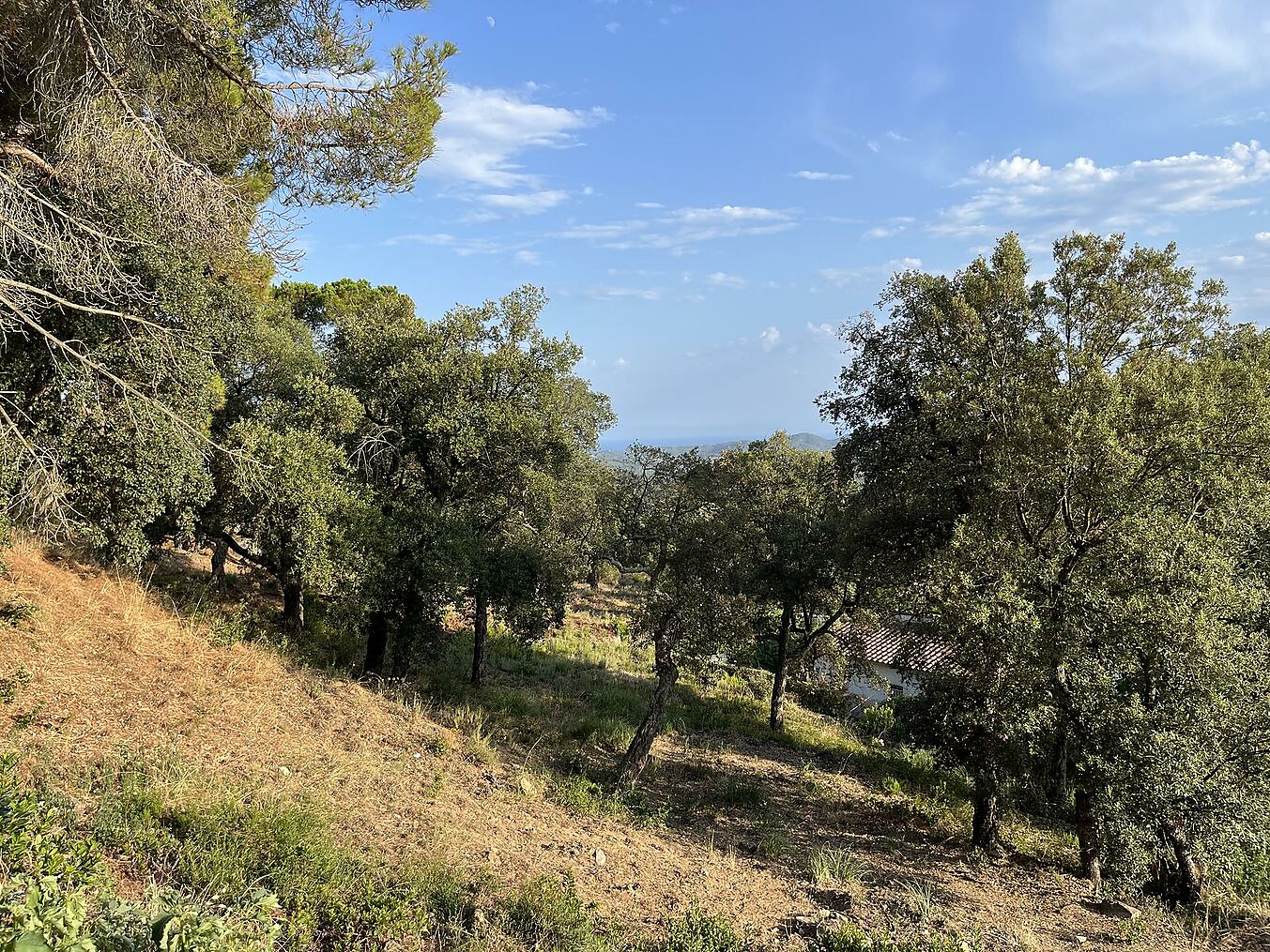 Plot of Land with Sea Views