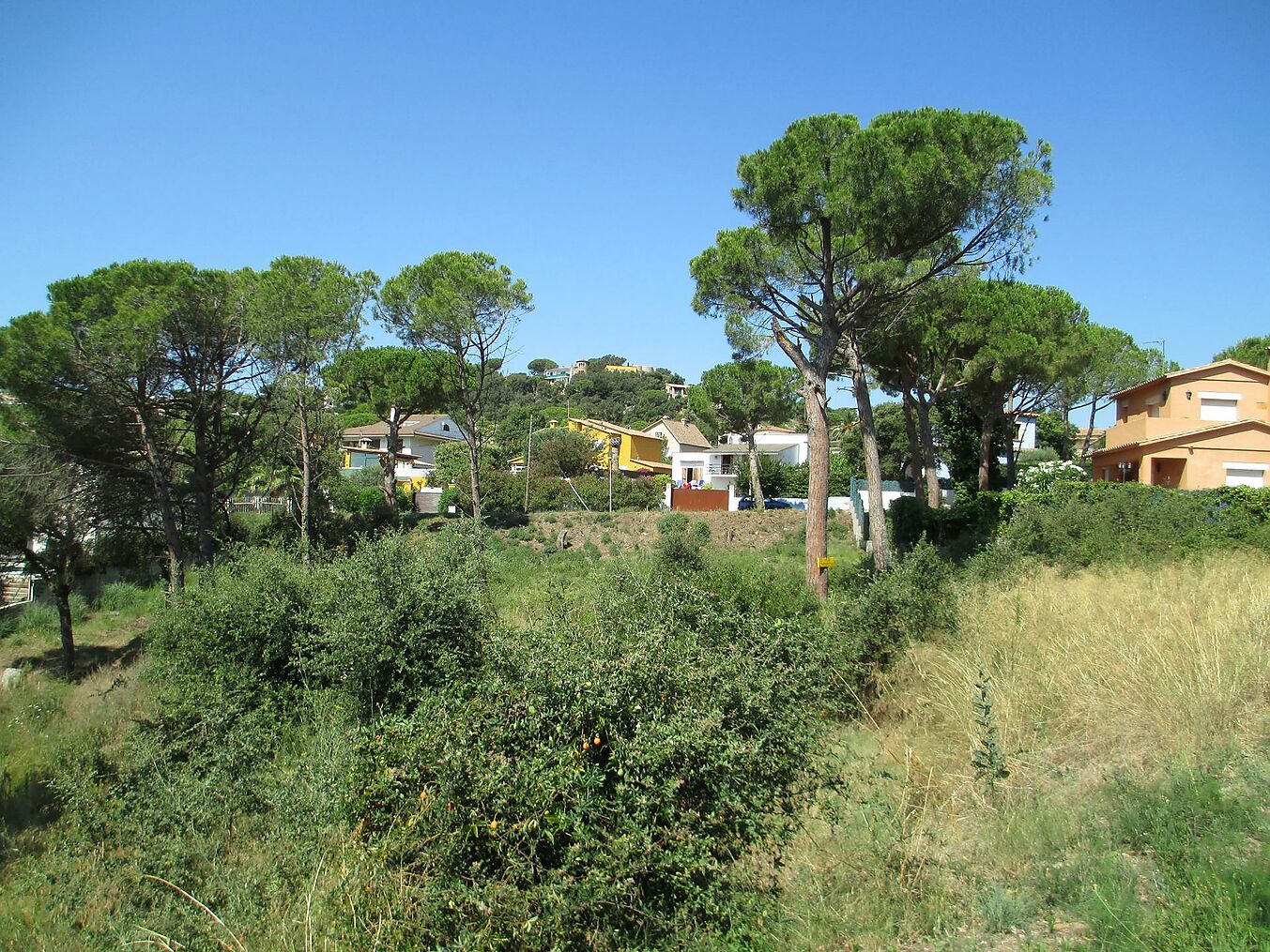 Parcel·la de terreny situada entre Platja d'Aro i Calonge
