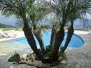 Incroyable villa de 3 chambres à vendre à Playa de Aro.