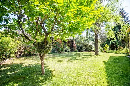Casa en venta en Santa Cristina d'Aro