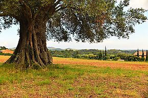 Superb selection of plots for sale on large flat plots with both sea and rural views available, and just 5 minutes by car to Palamos.