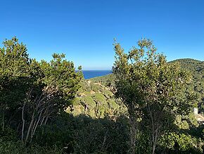 Terrain avec vue sur la mer à Begur