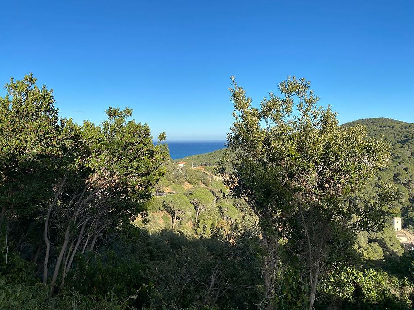 Plot with sea views in Beautiful Begur