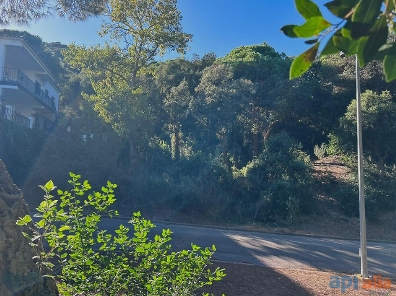 TERRAIN À VENDRE DANS L URBANISATION ROSAMAR - SANTA CRISTINA D'ARO (COSTA BRAVA)