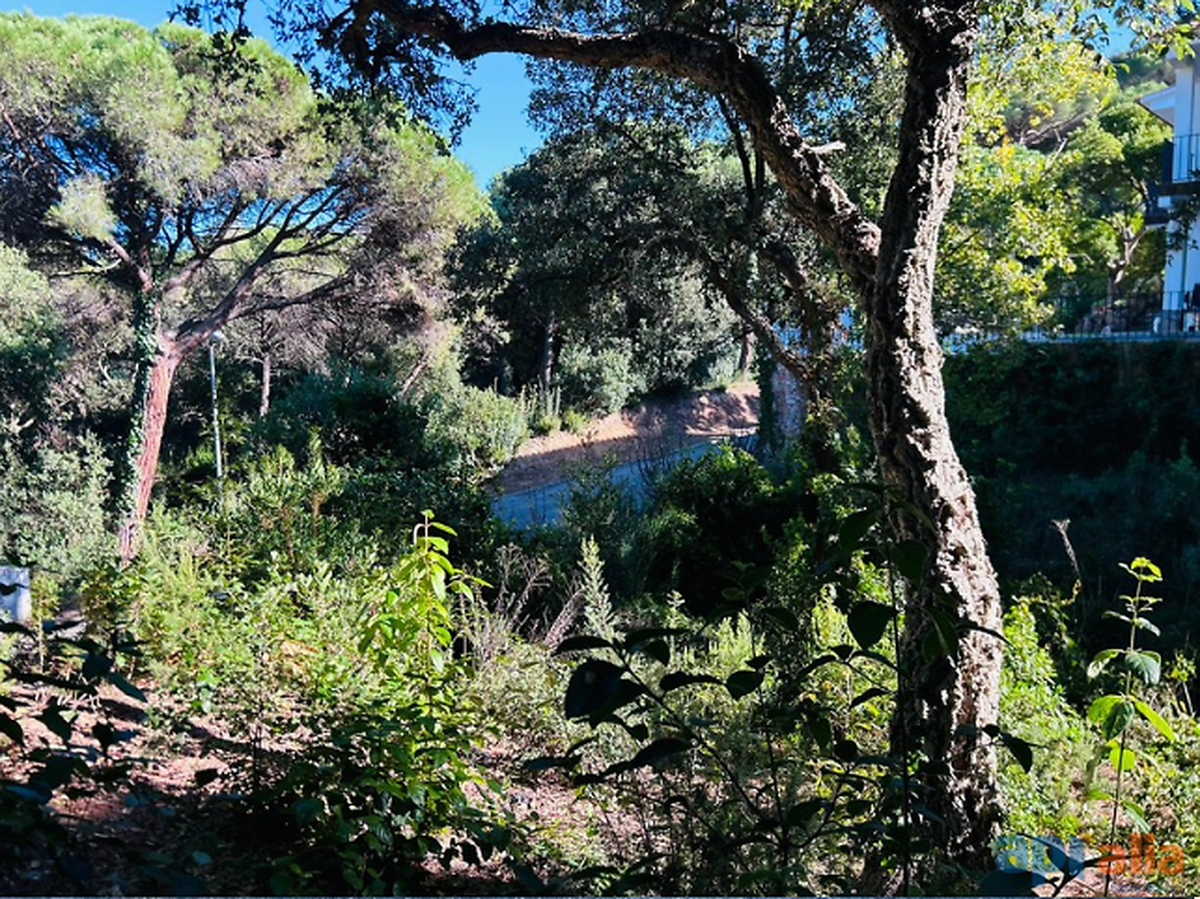 TERRAIN À VENDRE DANS L URBANISATION ROSAMAR - SANTA CRISTINA D'ARO (COSTA BRAVA)