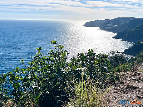 TERRAIN À VENDRE DANS L URBANISATION ROSAMAR - SANTA CRISTINA D'ARO (COSTA BRAVA)