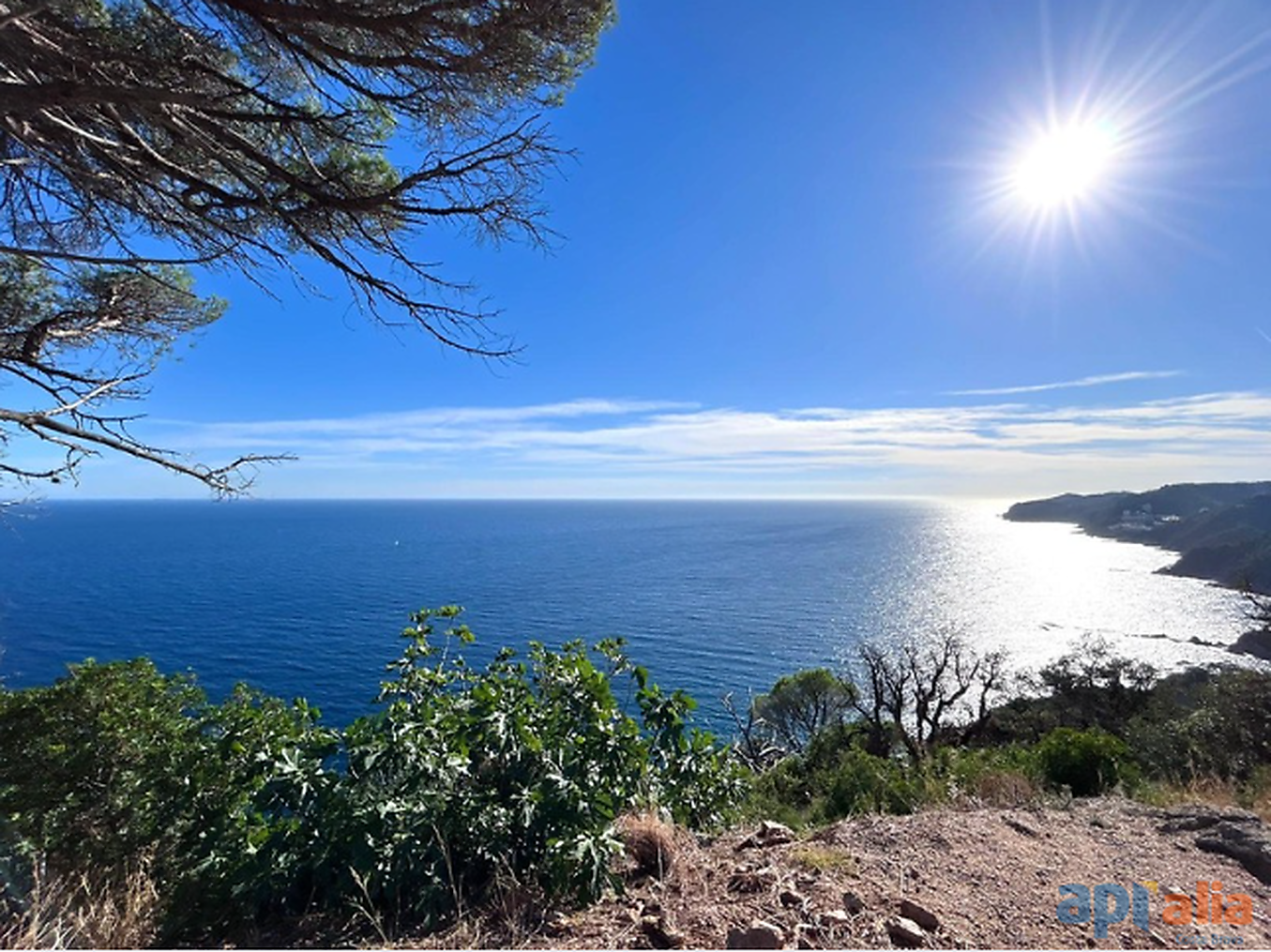 TERRAIN À VENDRE DANS L URBANISATION ROSAMAR - SANTA CRISTINA D'ARO (COSTA BRAVA)