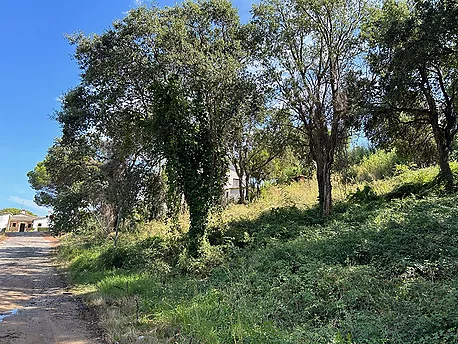 Terreny en venda a Platja d'Aro