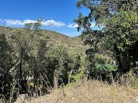 Terreny en venda a Platja d'Aro