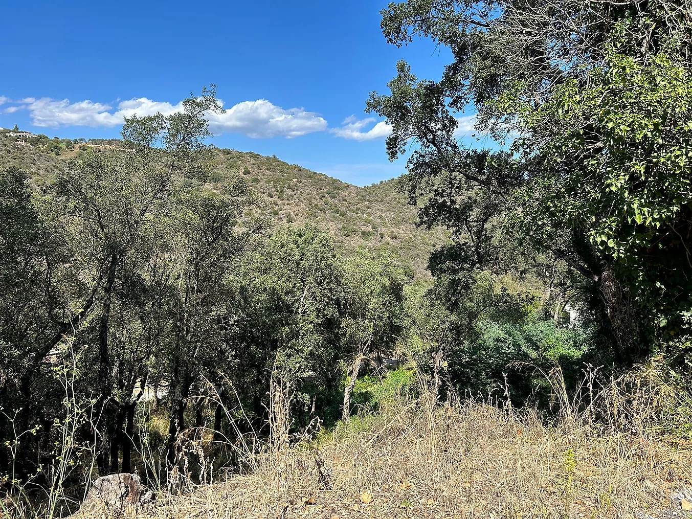 Terreny en venda a Platja d'Aro