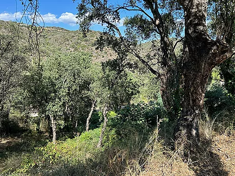 Terreny en venda a Platja d'Aro