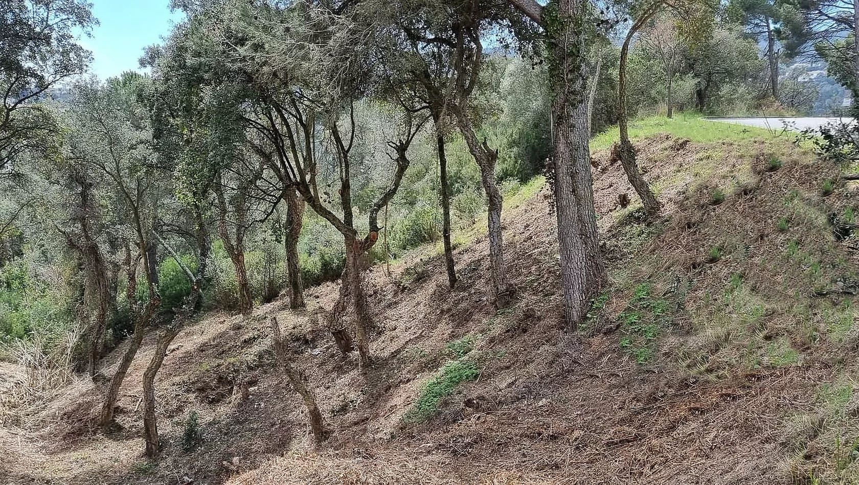 Fantàstica parcel·la de 1.086m2