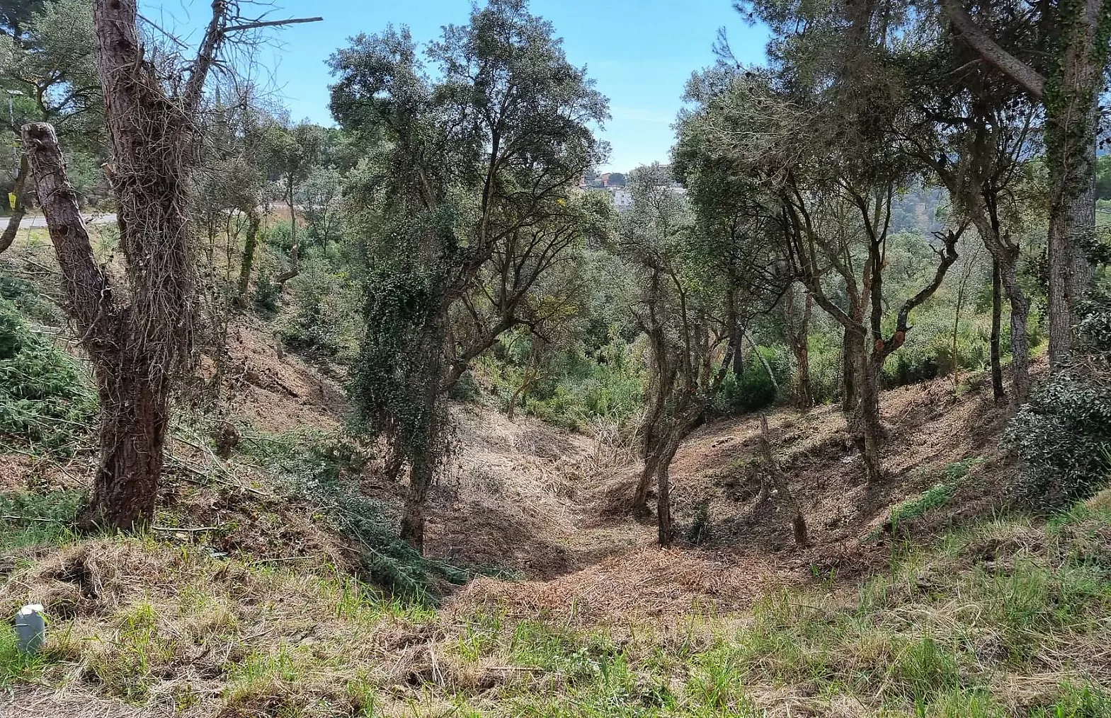 Fantàstica parcel·la de 1.086m2