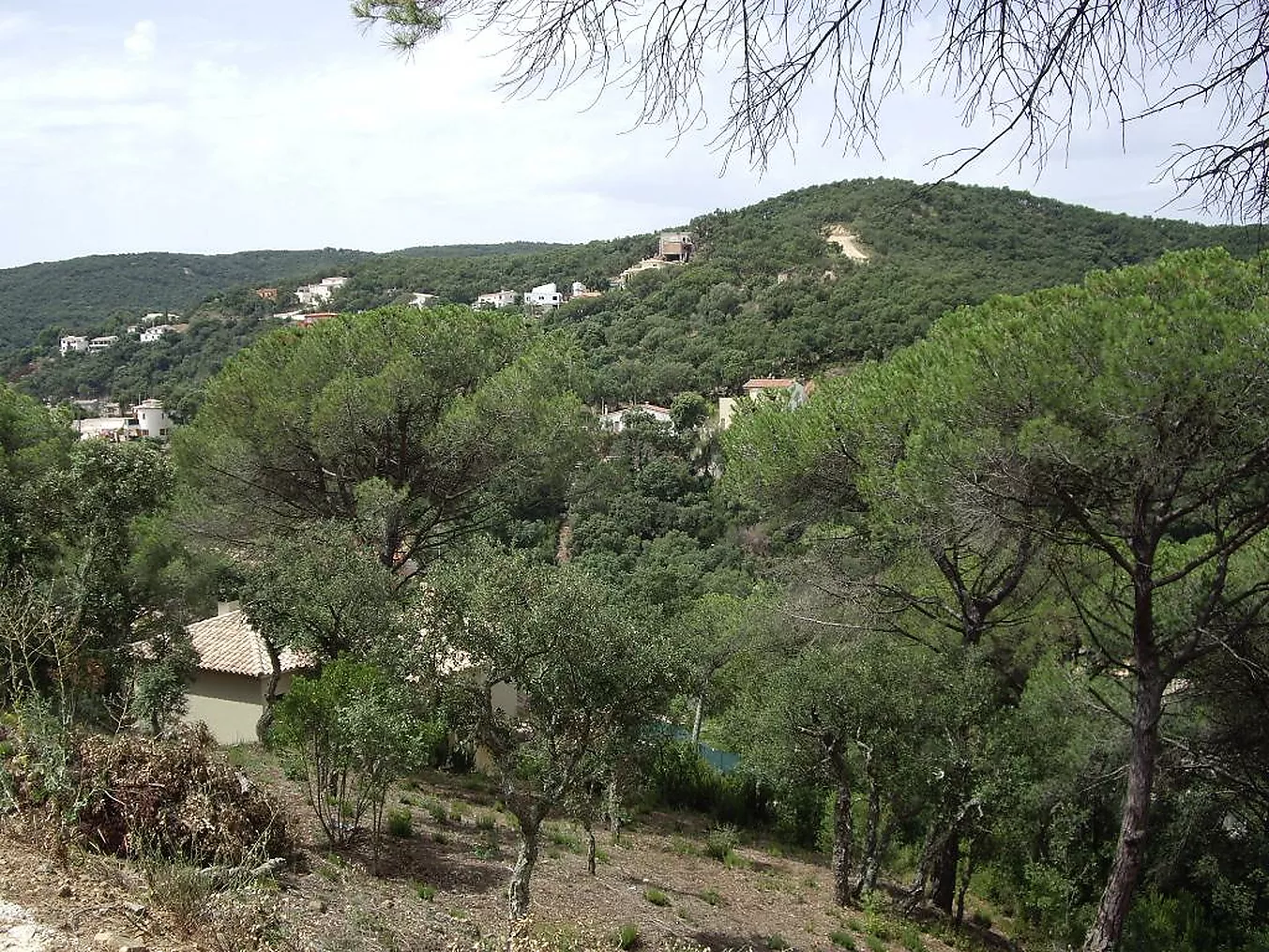 Parcel·la amb vistes a Les Gavarres