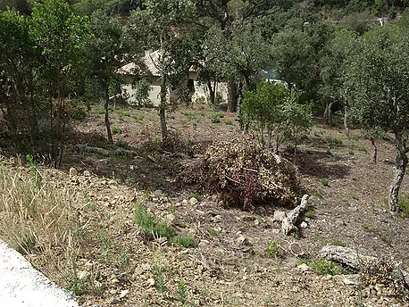 Parcel·la amb vistes a Les Gavarres