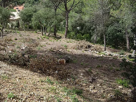Parcel·la amb vistes a Les Gavarres