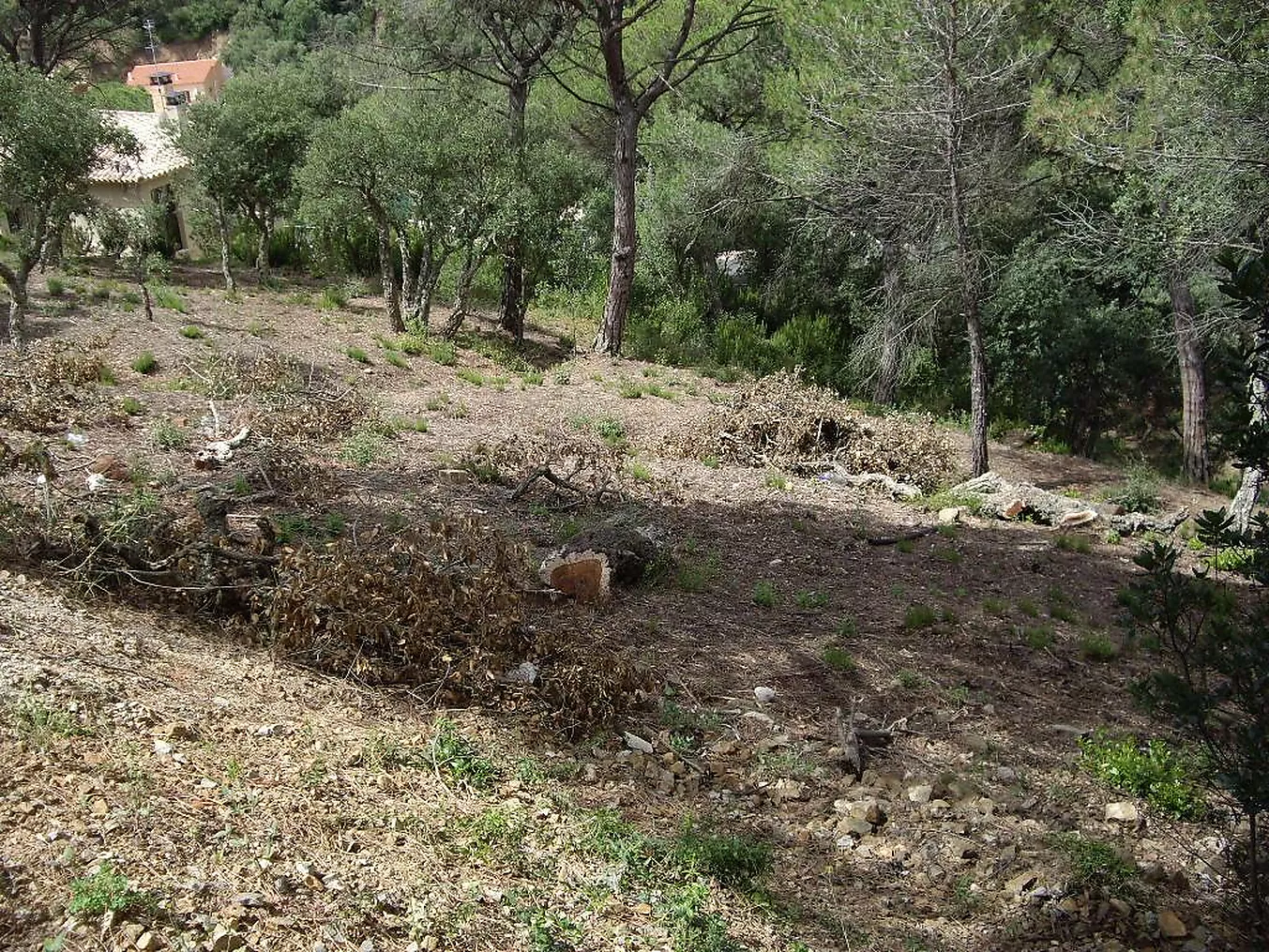Parcel·la amb vistes a Les Gavarres