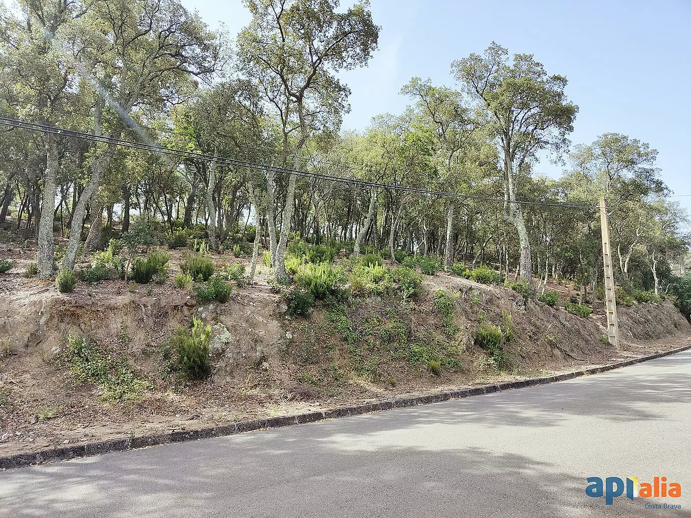 Parcel·la en venda a Vall-Repòs