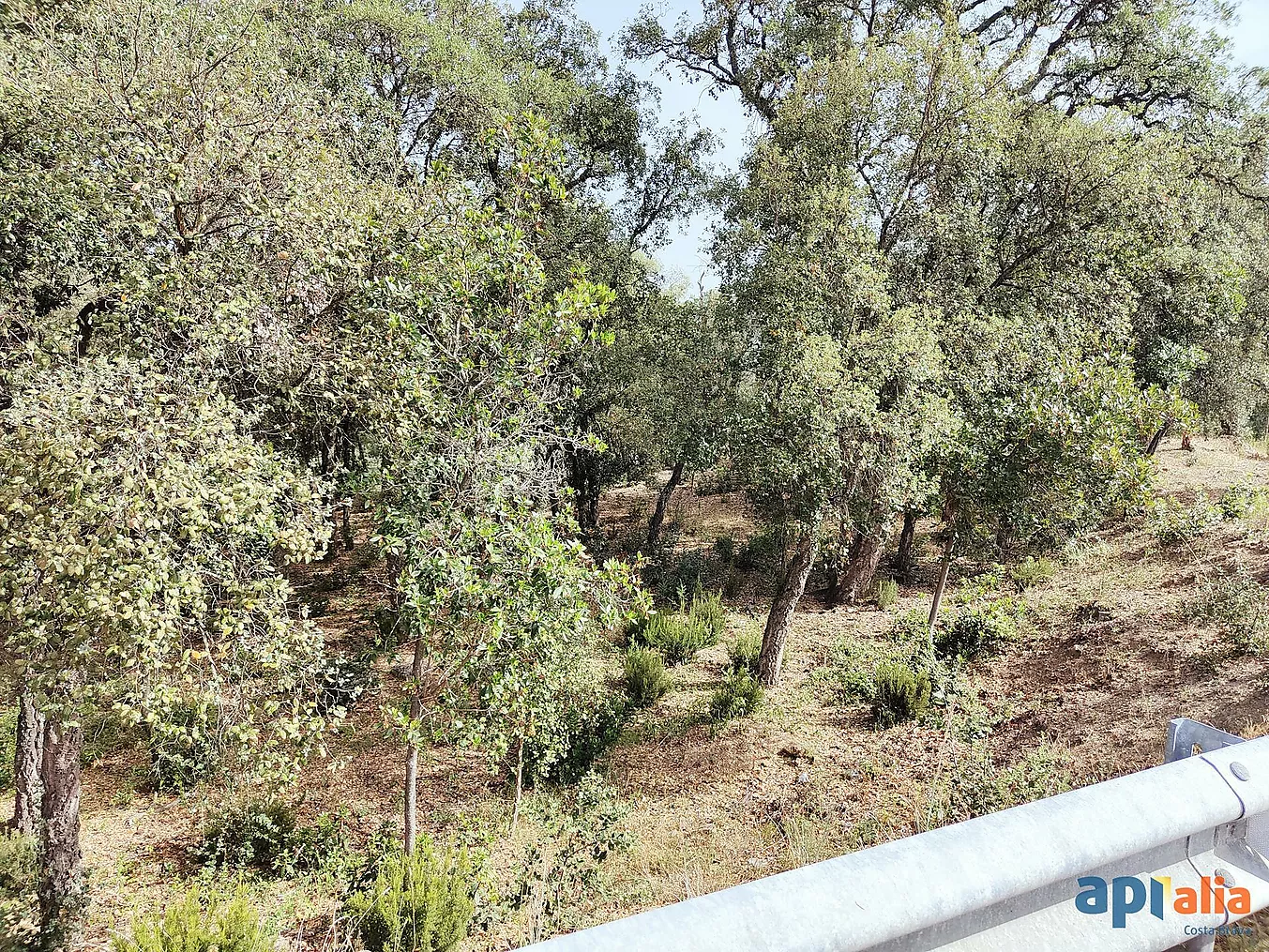 Parcel·la en venda a Vall-Repòs