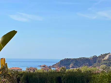 EXCLUSIVA APIALIA COSTA BRAVA