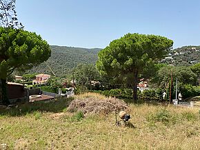 Plot with beautiful green views for sale in Calonge