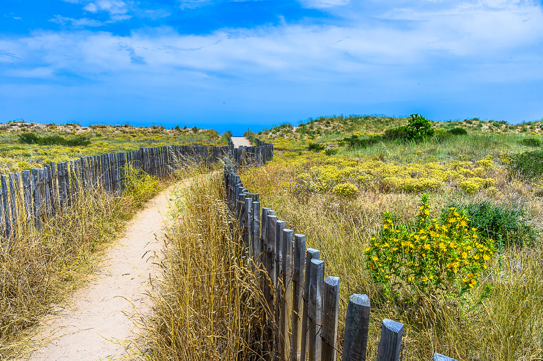 Professional real estate agency in Platja d&rsquo;Aro
Buying and selling of real estate on the Costa Brava
What are you looking for?