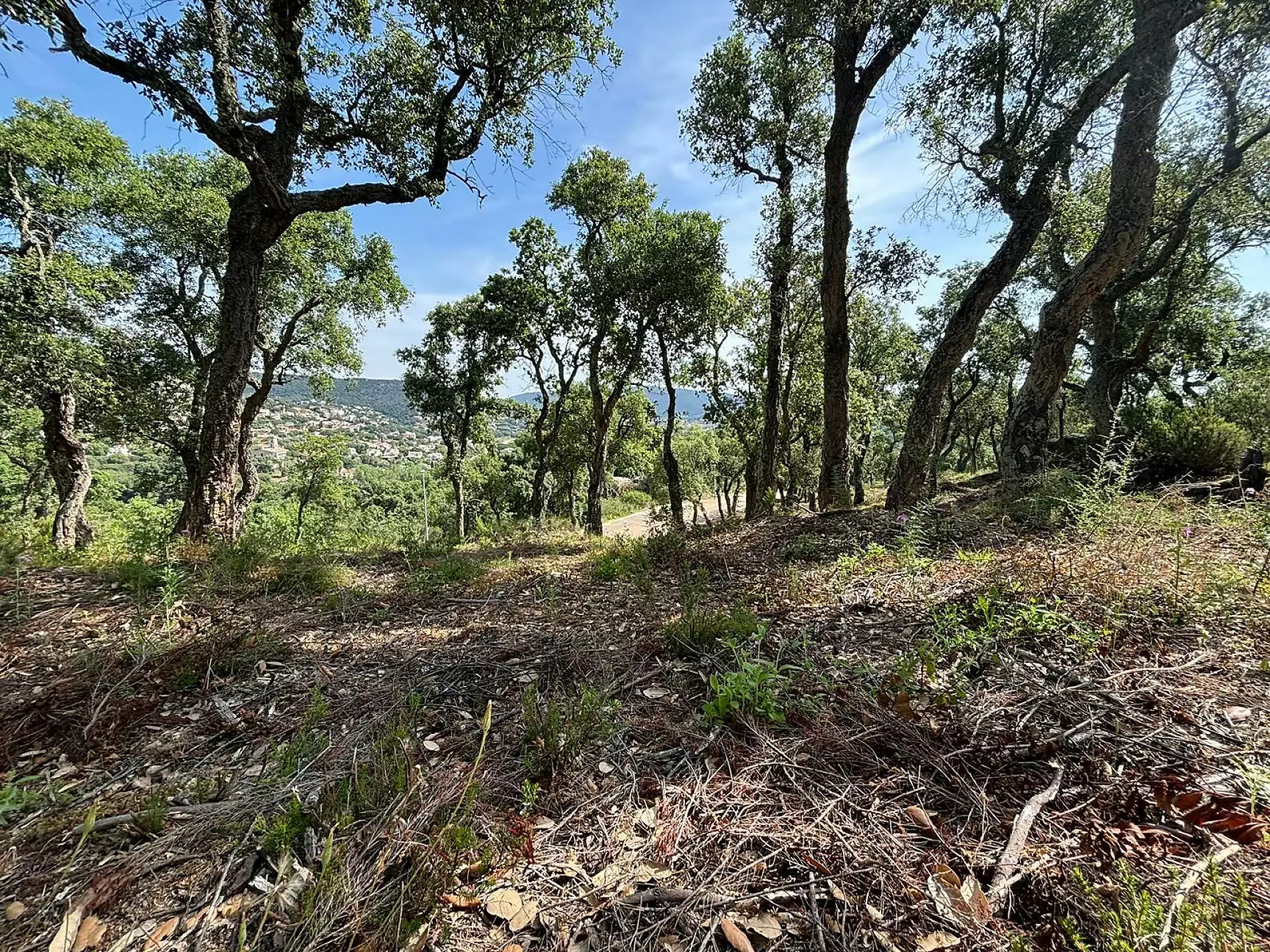 Land in Calonge - view 1